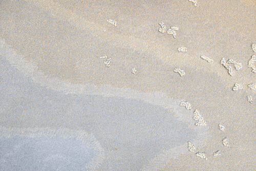 Tapis de luxe design et haut de gamme sur mesure • FLAKE