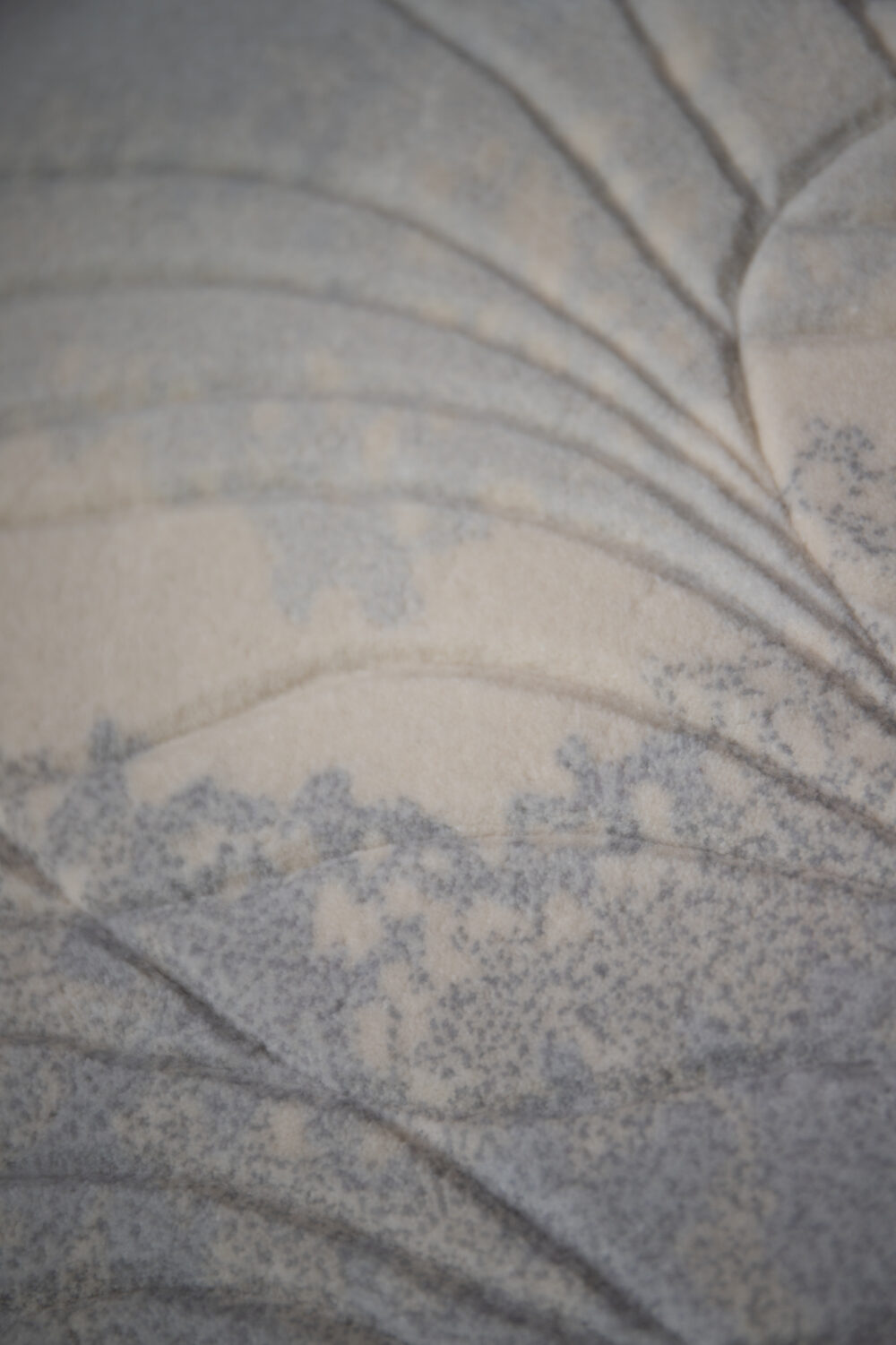 Tapis de luxe design et haut de gamme sur mesure • OZANNE
