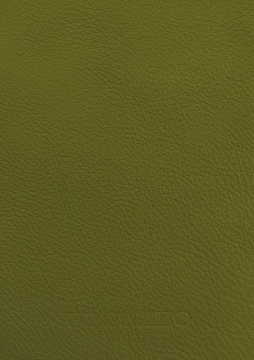 奢华地毯的境界 • Army Green Jade