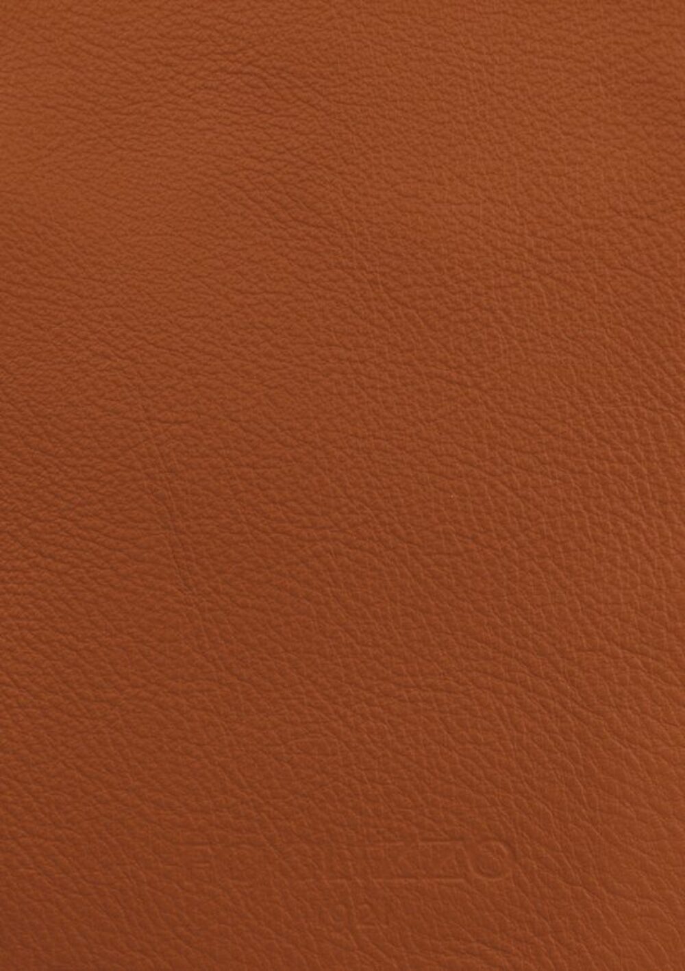 Édition Bougainville • Bronze Cognac Jade