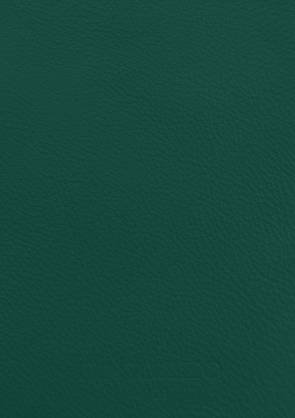 奢华地毯的境界 • Maya Green Jade