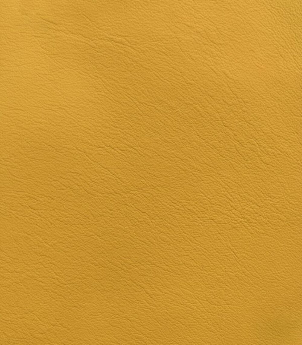 Édition Bougainville • Mustard Yellow Lord