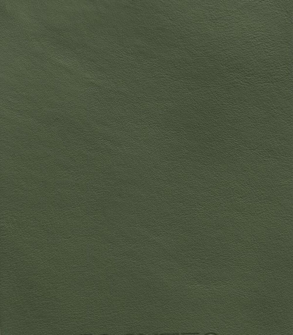 奢华地毯的境界 • Olive Green Lord