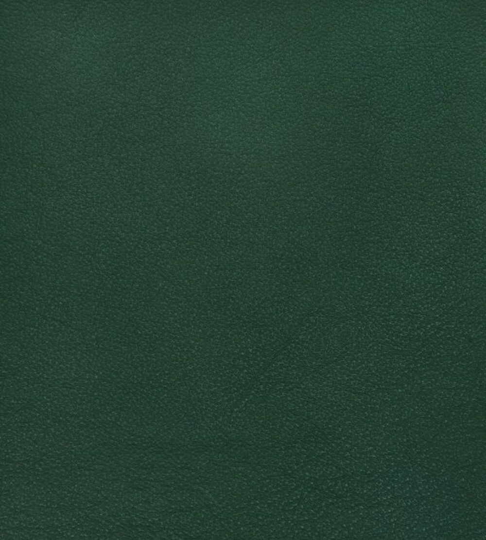 奢华地毯的境界 • Pine Green Sapphire