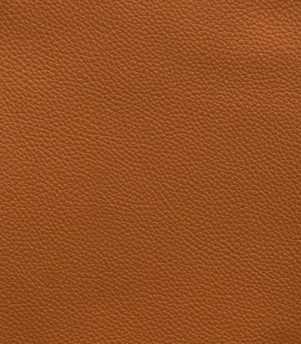 Tapis de luxe design et haut de gamme sur mesure • Pumpkin Cognac Duke