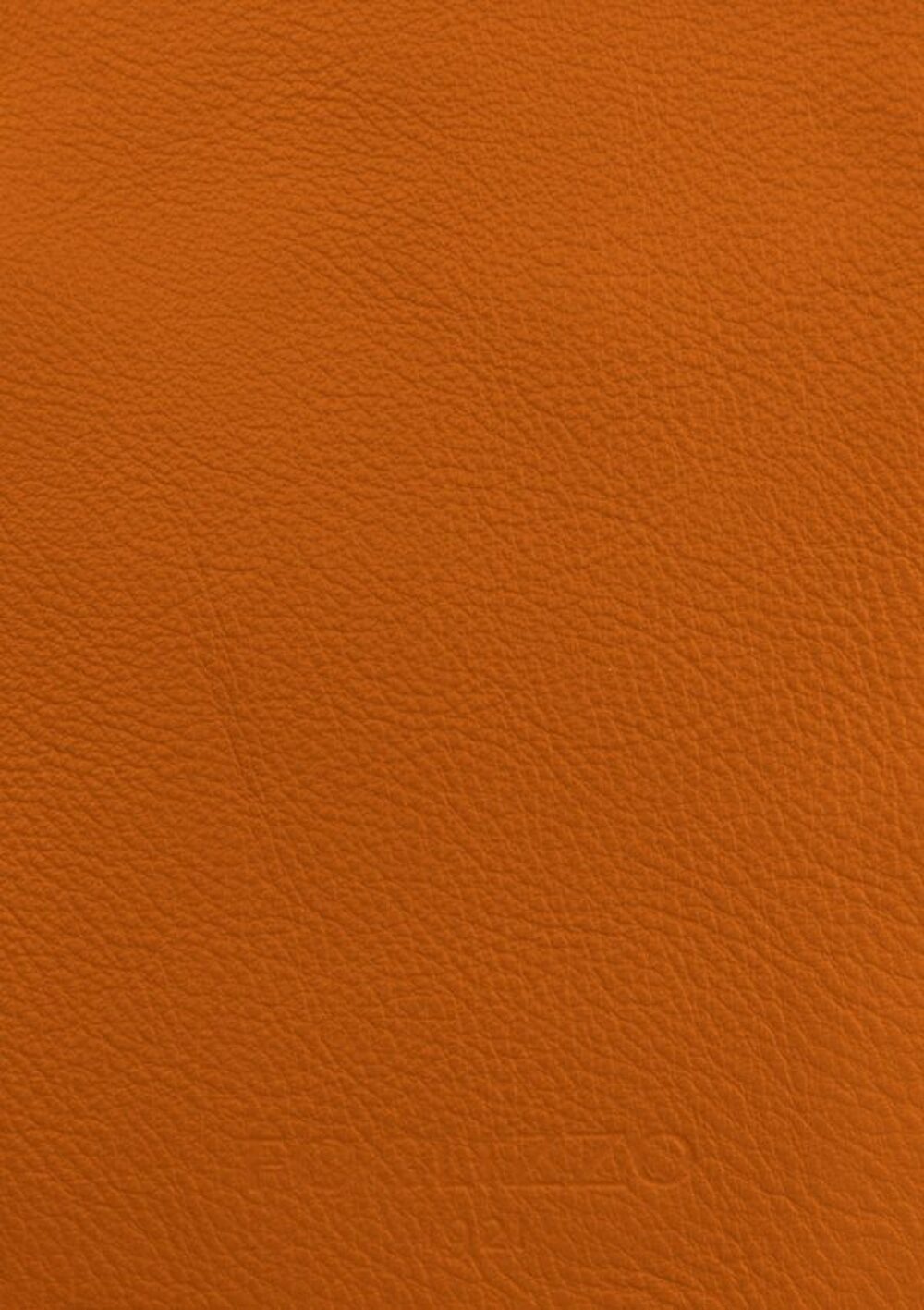 Tapis de luxe design et haut de gamme sur mesure • Pumpkin Orange Jade