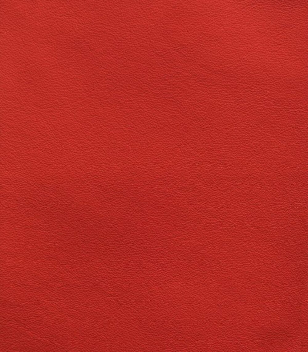 奢华地毯的境界 • Scarlet Red Lord