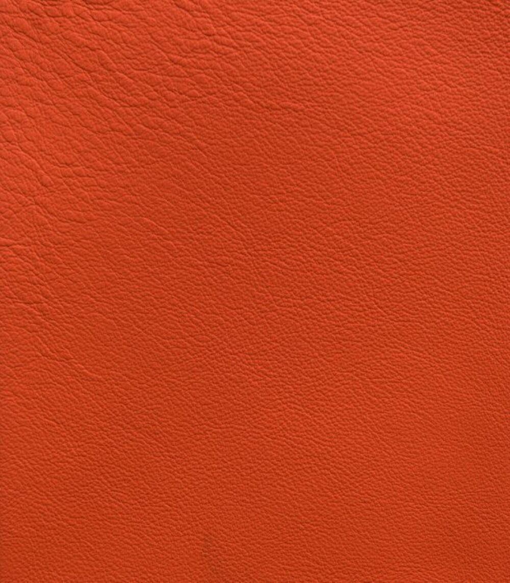 Tapis de luxe design et haut de gamme sur mesure • Tiger Orange Lord