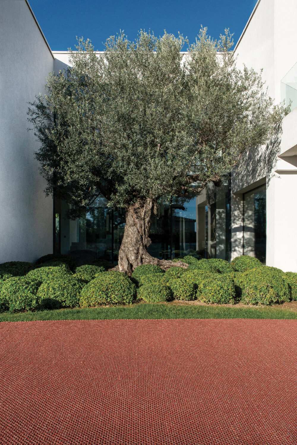 Édition Bougainville • WELL